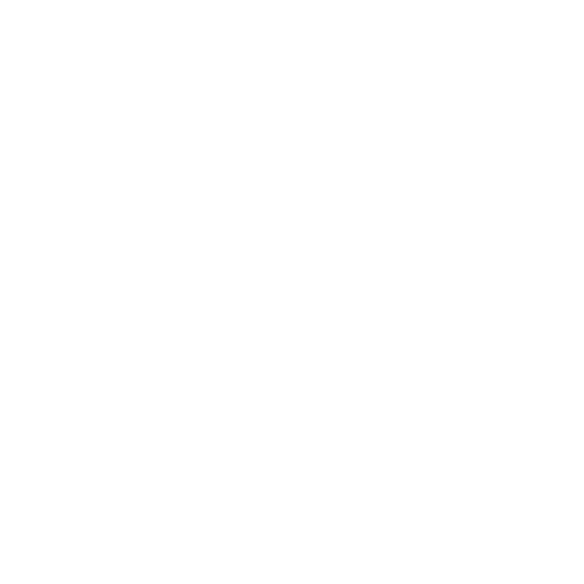 IK Paini Logo